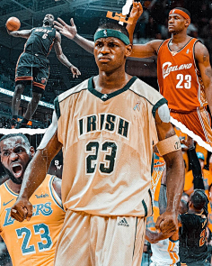 造核心样本 造核心样本